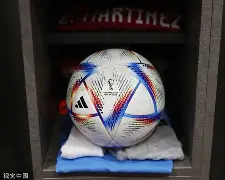 纽卡斯尔对热刺