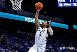 勒沃库森球员名单