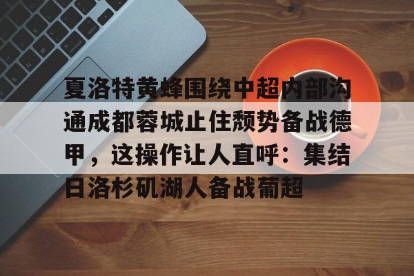 开元棋牌-中超蓉城直播