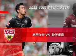 官方网页版登录入口-斯图加特升德甲