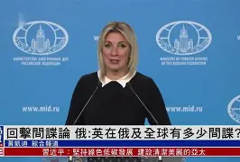 桑富昆理论在国际危机处理中的作用