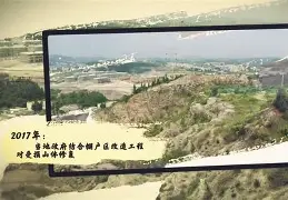 与凤凰涅盘相近的词