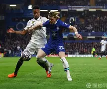 官方网页版登录入口-多特蒙德状态火爆锁定德甲半程冠军,全队身价首破5亿