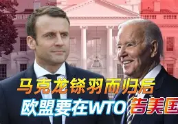 贝西克塔斯排名