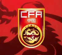 中国国家足球队出线