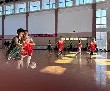 官方网页版登录入口-台湾队在比赛中表现出色,夺得关键胜利的是谁