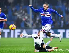 开元棋牌-奥运健儿们赛场拼搏精神的启示是什么