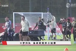 官方网页版登录入口-葡萄牙c罗新消息