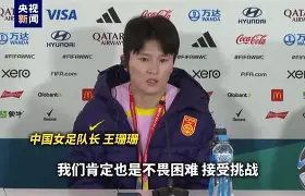 印度尼西亚国家男子足球队