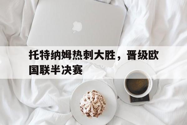 托特纳姆热刺欧冠冠军