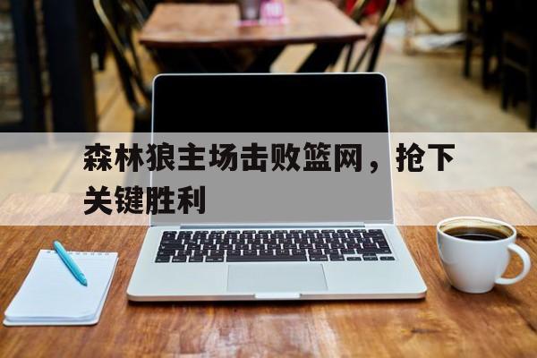 2021年3月30日森林狼vs篮网